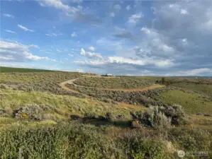 Looking back at driveway layout