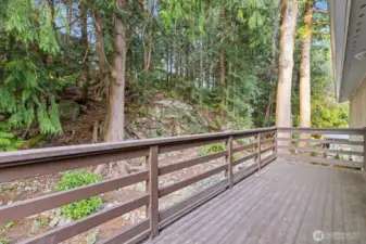 Beautiful upper deck for forest gazing ..