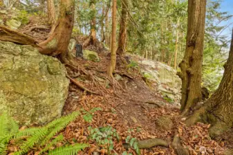 The absolutely perfect forest retreat in your backyard ..