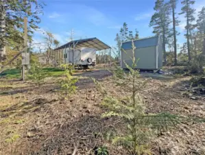 New trees planted on property line for privacy.