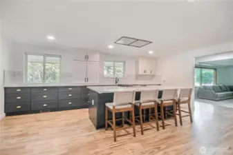Giant kitchen Island is the center piece of this trendy chef's kitchen.
