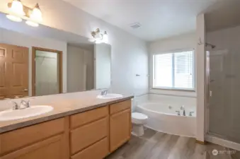 Primary ensuite featuring dual sinks, a soaking tub, and a walk-in shower.