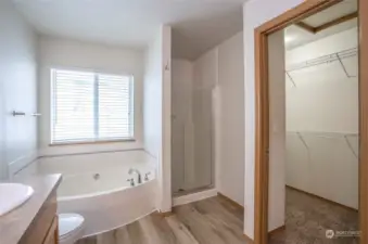 Primary ensuite with a conveniently located walk-in closet.