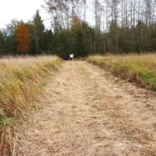 Mowed walkway to the Northwest corner of property. (pointed end of property on plat map)