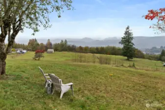 View overlooking Mossyrock & Mt. Rainier