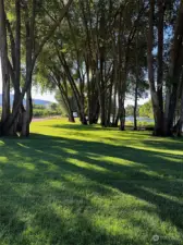 Cozy yard next to the river