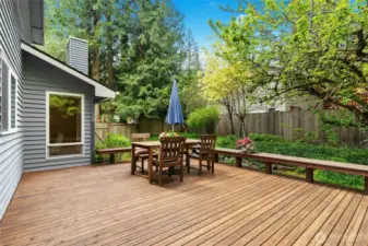 Newer, quality deck with raised seating.