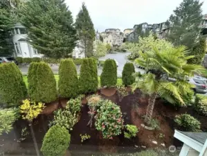 mature landscaping