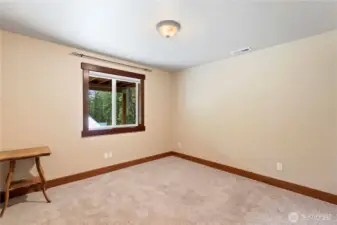 Lower Level Bedroom