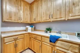 So many options here with laundry sink and extra counter space.