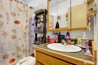 Apt. 1 - Bathroom
