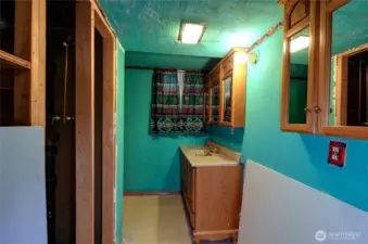 Lower level unfinished 3/4 bath