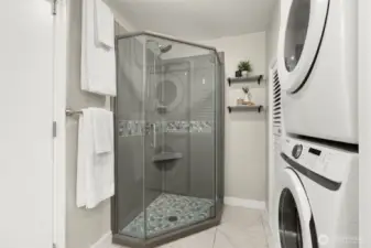 Lower level bathroom