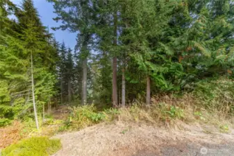 From 2022 when trees and bushes were cleared.