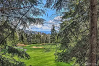 Possible view from 2022 when trees and bushes were cleared.