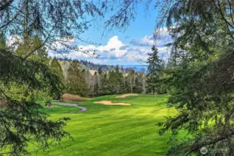 Possible view from 2022 when trees and bushes were cleared.