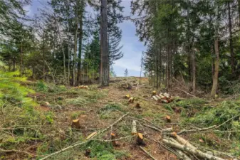 From 2022 when trees and bushes were cleared.