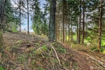 From 2022 when trees and bushes were cleared.