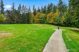 Community Grassy Area