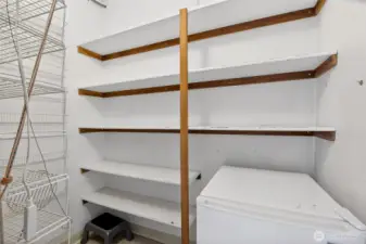 Walk-in kitchen pantry
