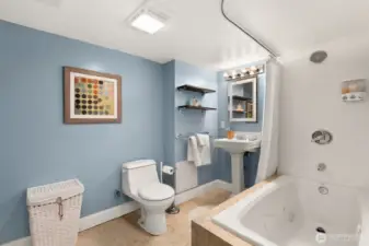 Full remodeled bathroom on the lower level