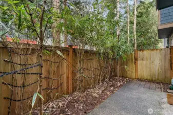 Washer and Dryer Convey