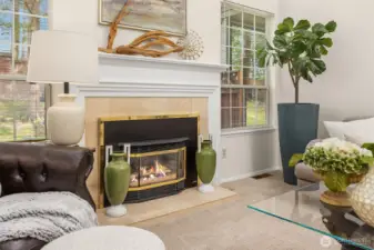 Closer look at the gas fireplace