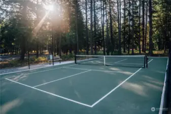 Community Pickleball/Tennis court