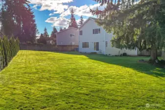 Impressively spacious backyard for winter fun to come!