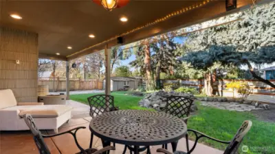 Patio lights & misters