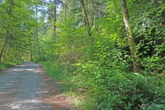 Old Mill Road’s Best-Kept Secret