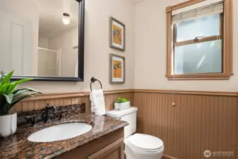 Bathroom on lower level