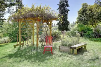 An arbor supports vines in this picturesque setting...