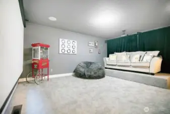 Theater/Media Room
