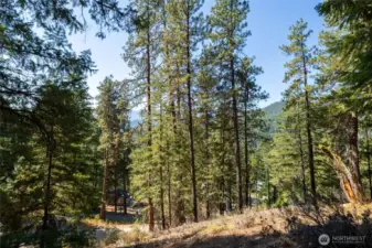 Potential for big mountain views