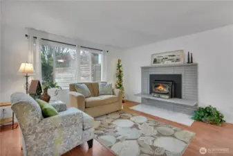 An efficient wood burning stove...