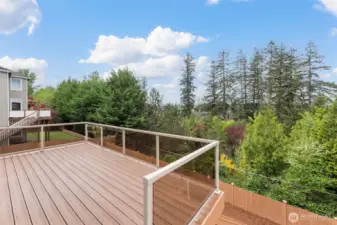 Deck from kitchen area - look at those views.
