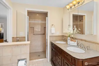 Primary bath with walk-in shower