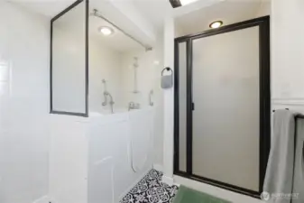 Main floor bath with tub and walk-in shower