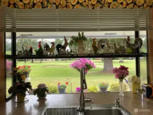 Amazing garden window in kitchen