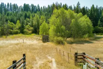 Nestled between Roslyn, Ronald and Suncadia, this peaceful parcel has the perfect location!