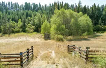 Level meadow a the front and a lovely hillside with a beautiful mix of trees gives you many options for development.