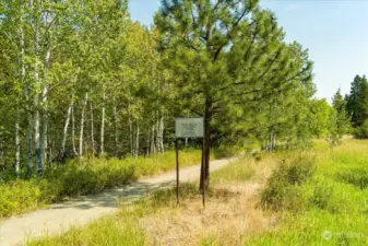 The Coal Mines trail is just across the street. If you go right you walk right into Roslyn.