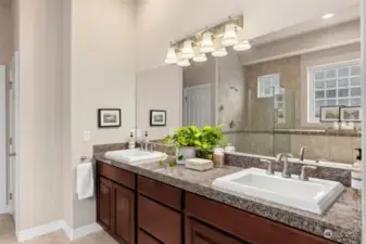 Double vanity in Primary suite with raised custom sinks. Rich finishes through out.