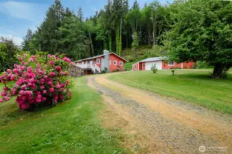 Larger home home with detached garage mature fruit trees and landscaping.