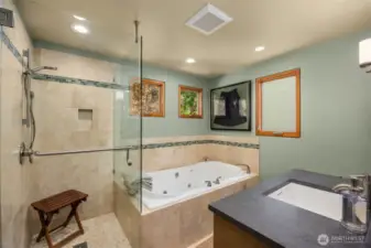 Spare bath with separate shower and jetted tub
