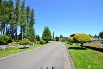 Great place to call home