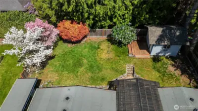 Backyard view with mature trees and two sheds.