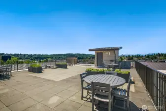 Rooftop deck with views of the Olympic Mountains