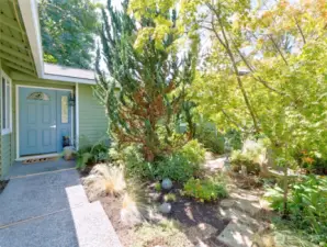 Mature garden plants and trees welcome you to front door